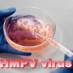 Human Metapneumovirus HMPV: What It Is Symptoms, Risks, and Prevention Tips